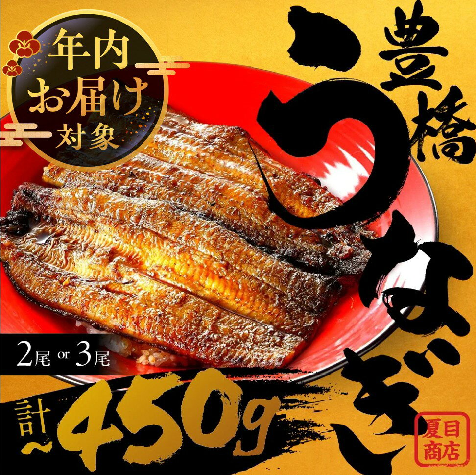 【ふるさと納税】★4.65 豊橋うなぎ 2尾 ランキング 1位 国産 うなぎ 蒲焼 2尾 3尾 4尾 5尾 6尾 ~450g 夏目商店 蒲焼 白焼 紅白 国産うなぎ 海鮮 ウナギ 鰻 長蒲焼 豊橋うなぎ 豊橋