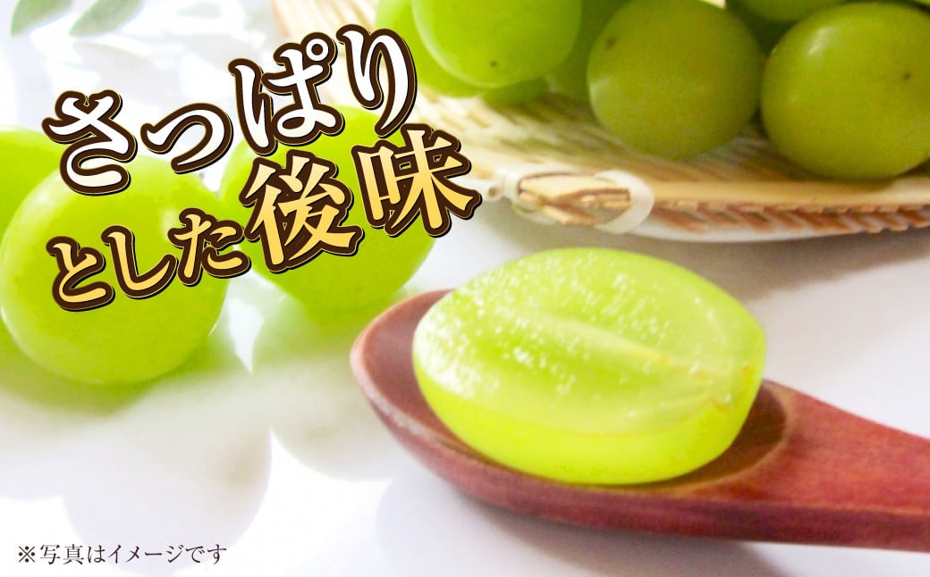 岡山県産 マスカットジパング 約900g（1房）