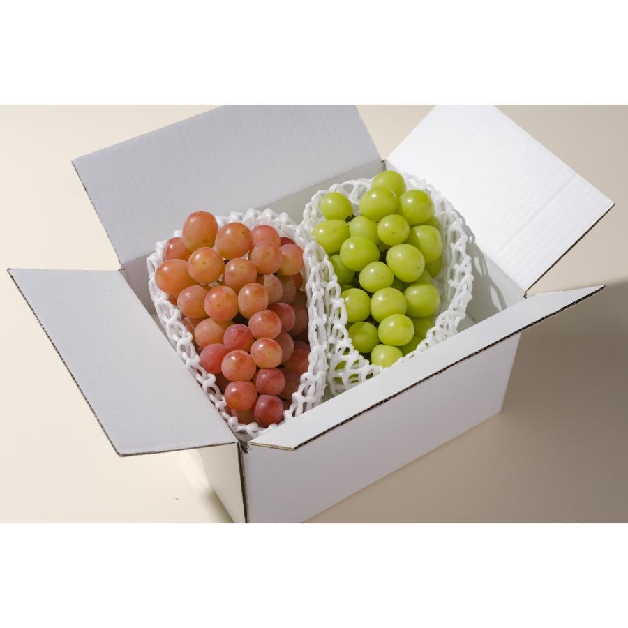 ＜Bonchi＞甲州市産 シャインマスカット&サンシャインレッド 2房入(1.1kg) 自然農法