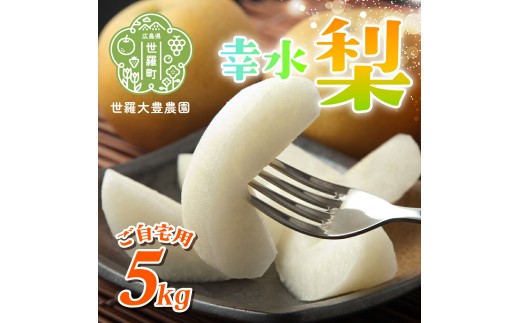 幸水梨 ご自宅用 約5kg【先行予約・数量限定】世羅 大豊農園 幸水 梨 せら なし フルーツ 果物 くだもの 産地直送 新鮮【2026年8月下旬以降順次発送】 A019-05