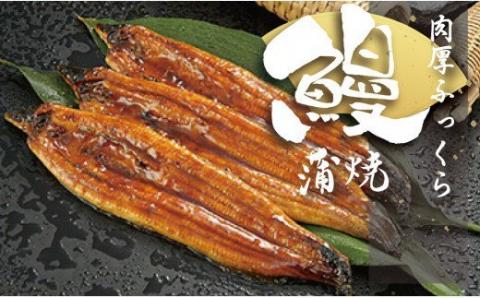 高知県産 うなぎ蒲焼き 100～120g 5尾セット