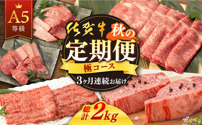 【3回定期便】佐賀牛 秋の定期便 極コース  / 佐賀牛 佐賀県産黒毛和牛 牛肉 定期便【桑原畜産】[NAB107]