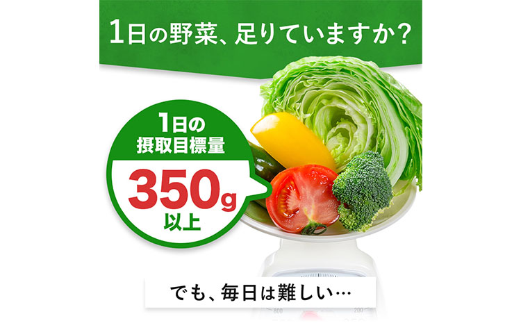 6ヶ月定期便 伊藤園 1日分の野菜200ml×24本 砂糖不使用 食塩不使用 栄養補給ドリンク 管理栄養士推奨 野菜ジュース ベジタブルジュース 栄養バランス ドリンク 飲料 ジュース 北海道 日高町