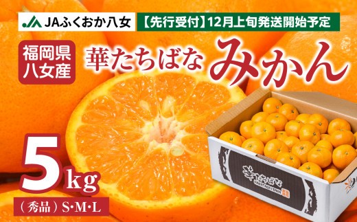 
                  華たちばなみかん 5kg（秀品 S／M／L） ｜ JAふくおか八女 厳選・八女産みかん みかん 5kg 蜜柑 糖度 ブランド 秀品　
                