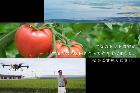 【新米】令和7年産 トマト酢を使って育てた「つや姫」 白米9kg：B365-008