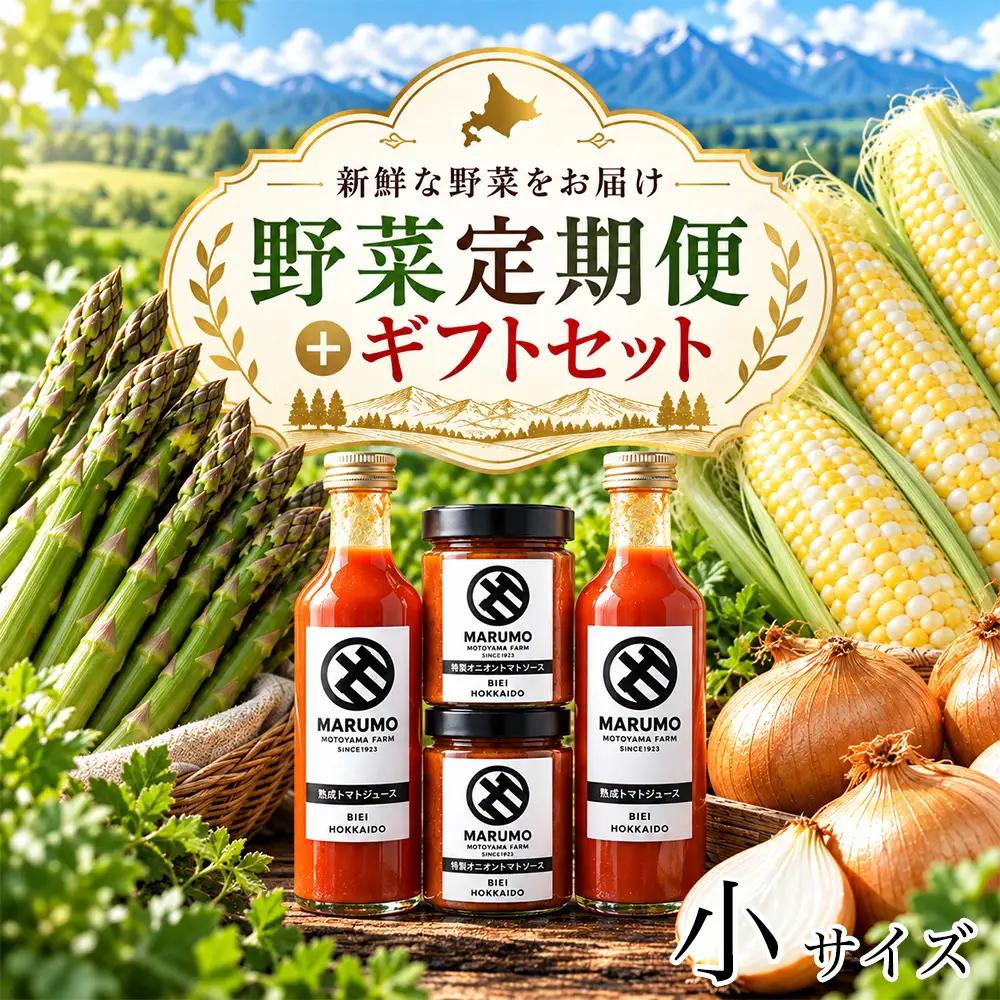 野菜定期便 4回便【令和9年産先行予約】本山農場の野菜定期便（小）野菜 トマトジュース ソース セット