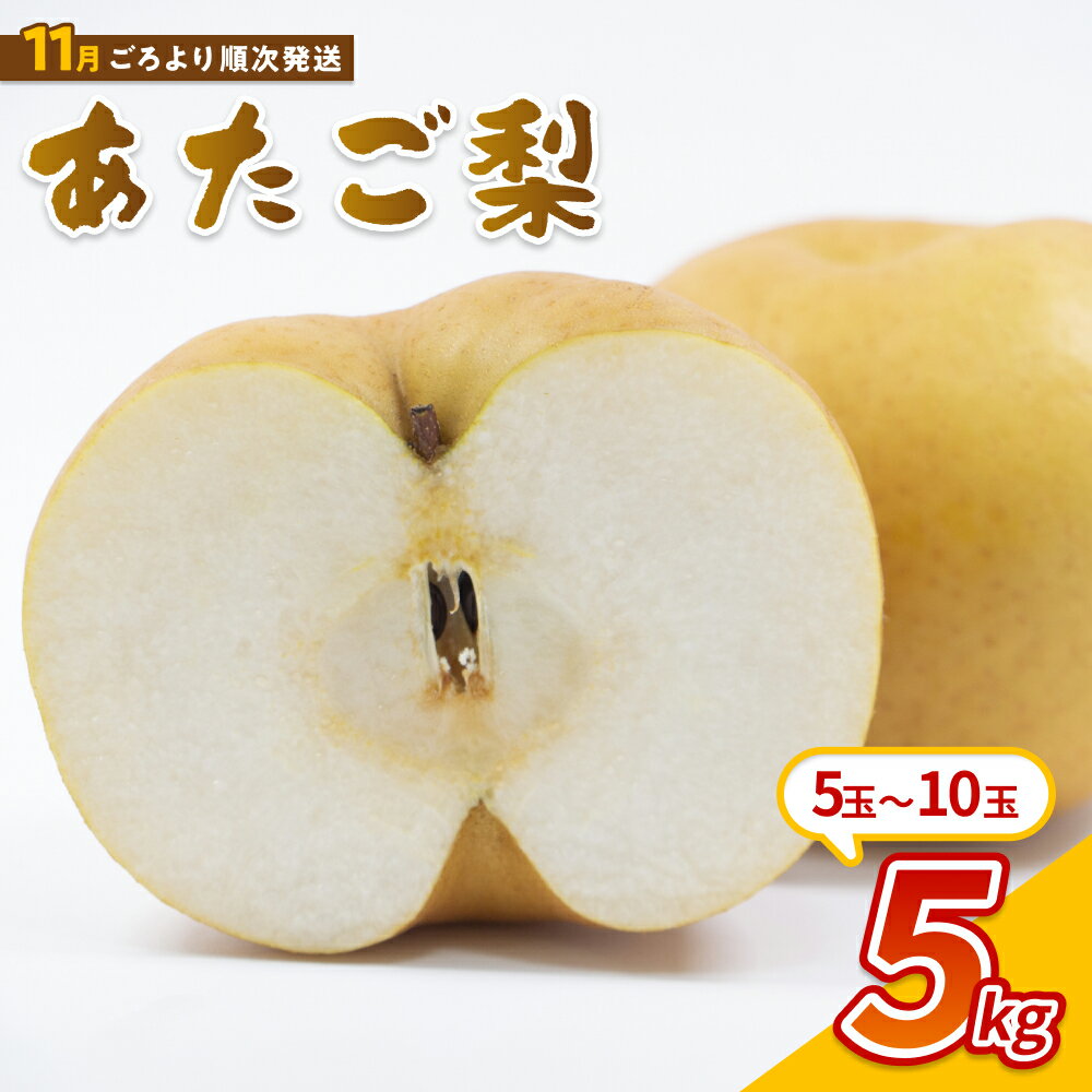 【ふるさと納税】【先行予約】中野農園 梨 ”あたご梨” 5kg箱｜鳥取 岩美 梨 なし ナシ あたご梨 愛宕梨 果物 フルーツ※お届けは2026年11月以降【41014】