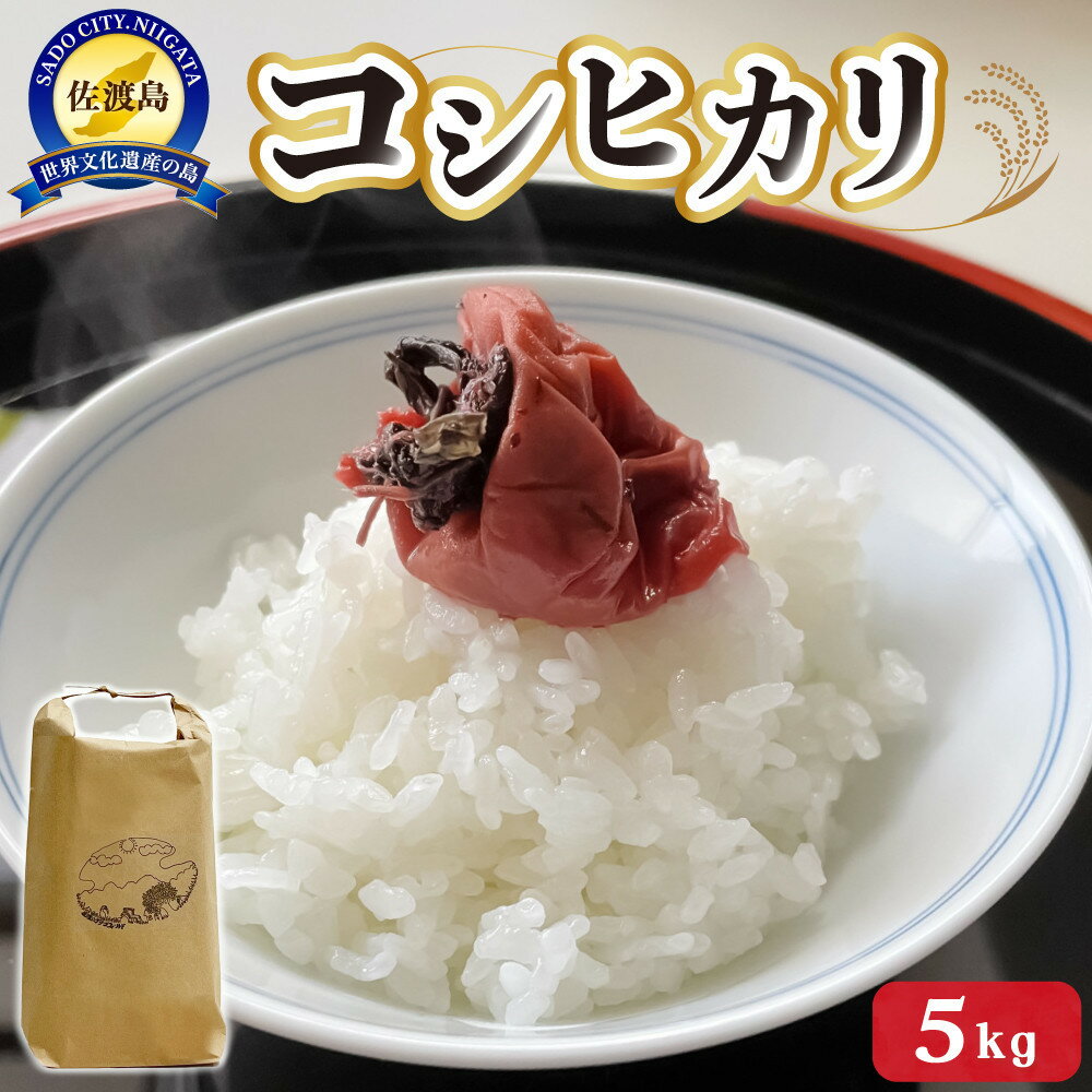 【ふるさと納税】令和7年産　佐渡産コシヒカリ　5キロ　精米　白米　 | 米 こめ 白米 こしひかり 食品