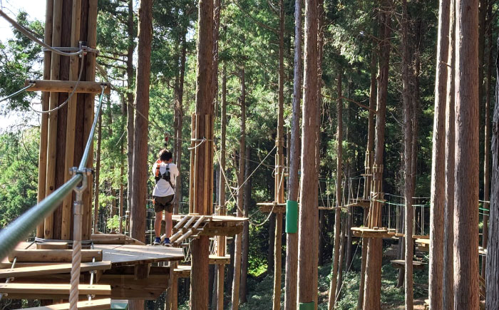 家族みんなで楽しめるコース！ キャノピーコース チケット (1名様) / 自然 アウトドア アクティビティ 体験 / 大村市 / フォレストアドベンチャー [ACCH003]