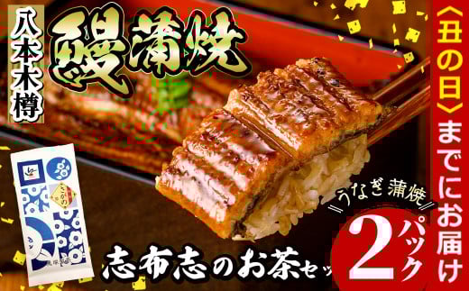 【丑の日までに配送】八本木樽鰻2尾＆お茶セット うなぎ蒲焼(156g以上×2尾)＆煎茶さがの(100g) 鰻 タレ たれ さんしょう 山椒付 お茶 緑茶 鹿児島県産 国産 セット 冷凍 おかず おつまみ お祝い 惣菜 a5-330-us