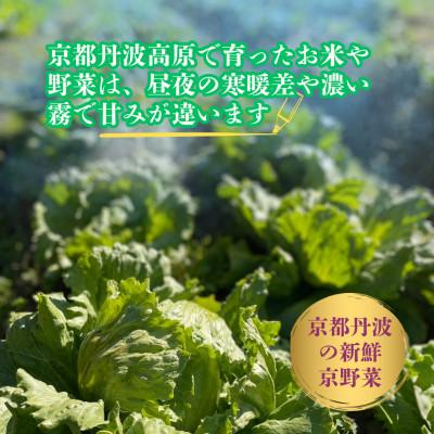 ふるさと納税 南丹市 【京都丹波より旬をお届け】朝採れお任せ季節の京野菜&お米2キロセット〜農家直送〜 |  | 03