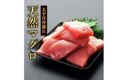 刺身 天然マグロ切り落とし1kg×訳あり鰹のタタキ1.5kg 海鮮【刺身】