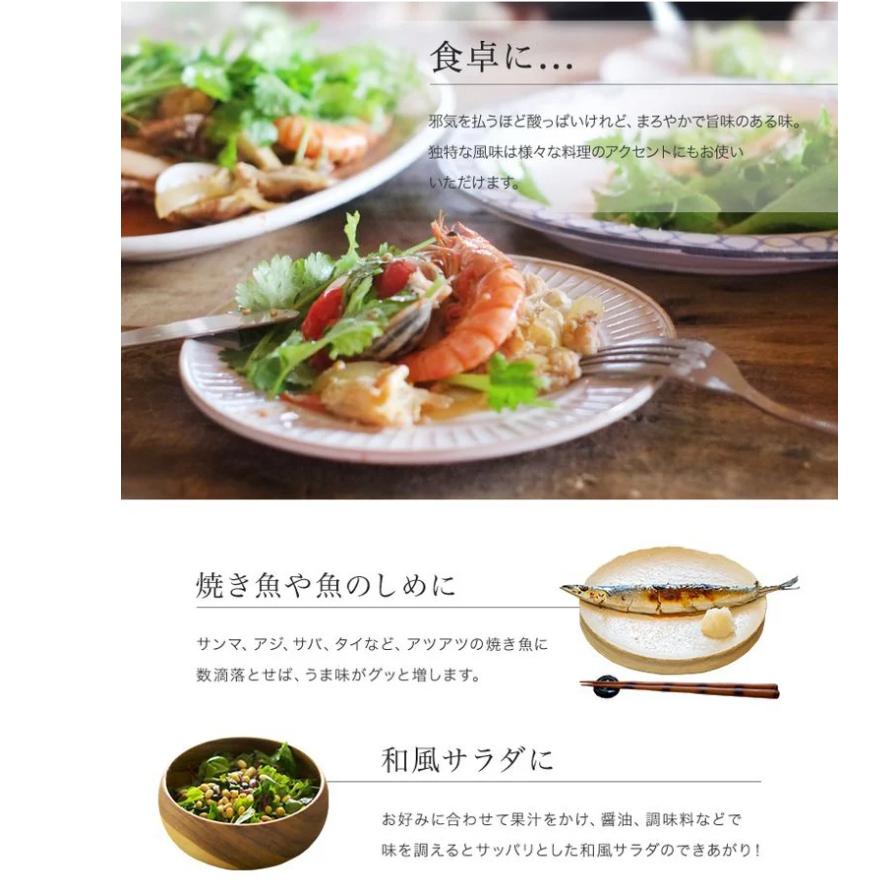 V6229_じゃばら果汁360ml×15本 100％ストレート果汁 邪払 ジャバラ じゃばら 果汁 北山村 / 紀伊国屋文左衛門本舗_イメージ3
