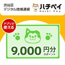 【ふるさと納税】渋谷区デジタル地域通貨「ハチペイ」9,000円分 30000円 3万円 三万円