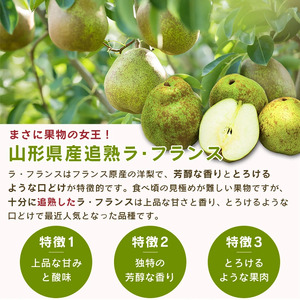 【令和6年産】サンふじりんご ラ・フランス詰合せ 2.5kg ＜2024年11月頃より順次配送＞ 012-B-MM072