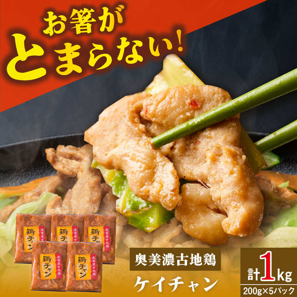 【ふるさと納税】地鶏を使った岐阜県郷土料理「ケイチャン」セット 10人前（200g×5P） / とりにく 鳥肉 肉 お肉 鶏 鶏肉 地鶏 郷土料理 小分け お取り寄せ /恵那市/中部食産[AUBW003]