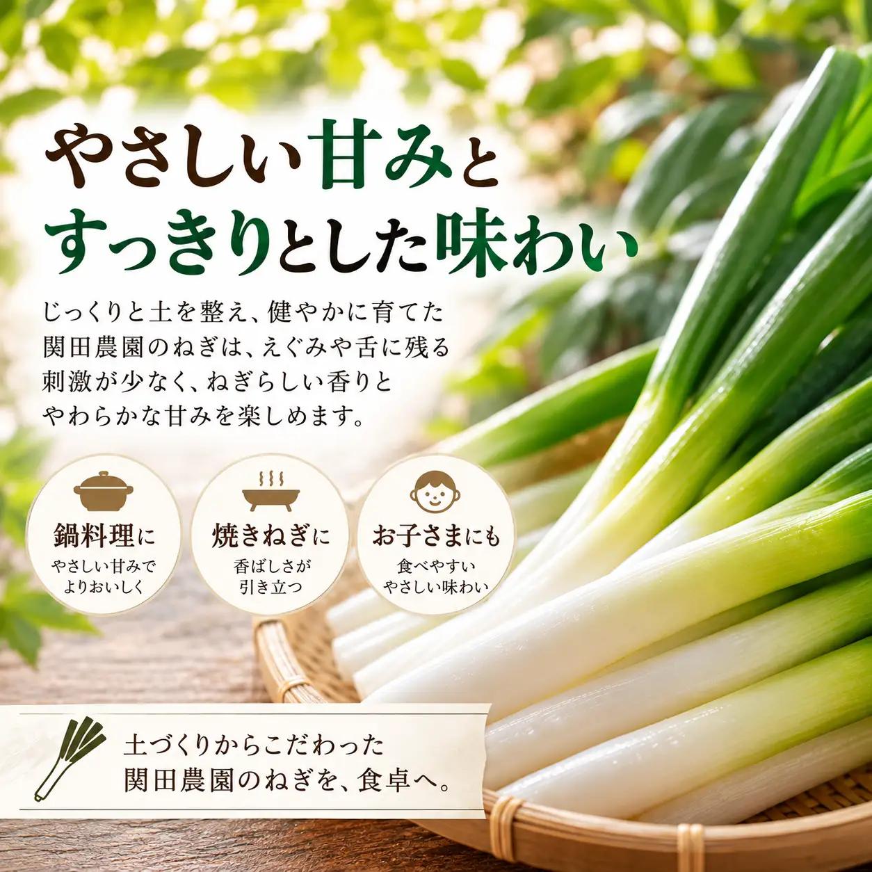 関田農園「厳選 長ねぎ（泥つき）」 3kg