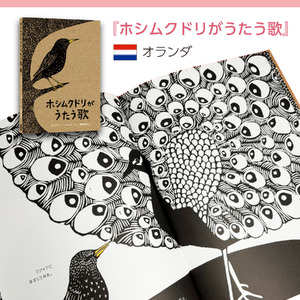 親子で楽しい！ イタリア ・ オランダ の大人気翻訳絵本3冊セット [AR001] / 絵本