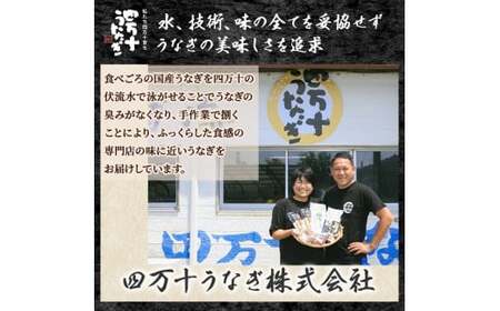 うなぎ蒲焼き【160g×2本セット】国産 名店 食べ方 調理済み うな重・ひつまぶしに タレ付き 山椒付き 化学調味料無添加 ギフト（お歳暮/お正月）高級お取り寄せ グルメ 鰻 2尾   おすすめ 有