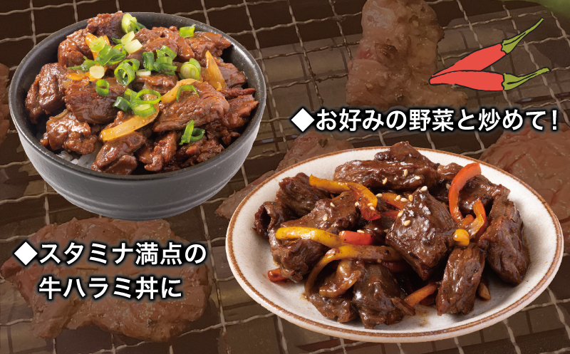 【満足ハラミ】中辛タレ漬け 合計1.5kg 【味付け ハラミ 小分け 焼くだけ 簡単調理 BBQ 牛肉 250g×6P】 015B503_イメージ5