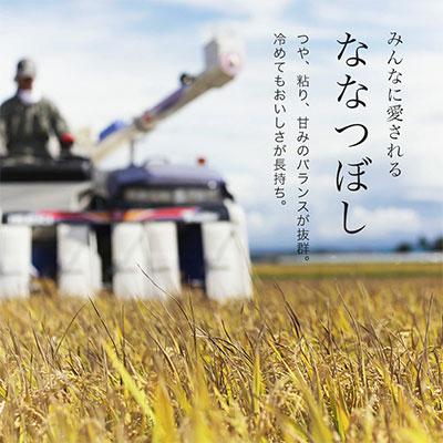 ふるさと納税 美瑛町 ななつぼし 定期便 (5kg 6回便)令和7年産!先行受付】特A 獲得! |  | 01