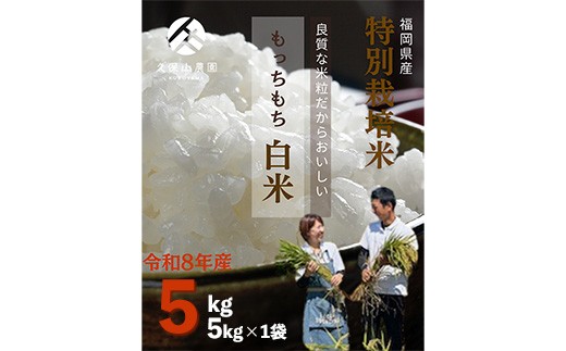 令和8年産【先行予約】久保山百年米 特別栽培米 白米 5kg 夢つくし/元気つくし【精米 お米 米 ご飯 ごはん ブランド 元気つくし 夢つくし 農家直送 福岡県 筑前町 BT052】