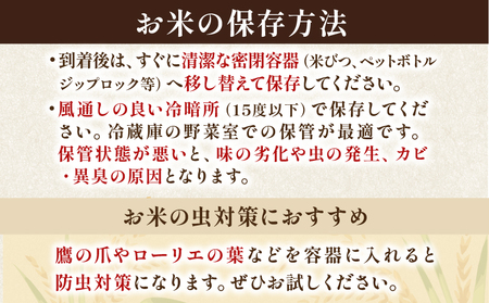 【令和7年産】 新米 コシヒカリ 精米 5kg