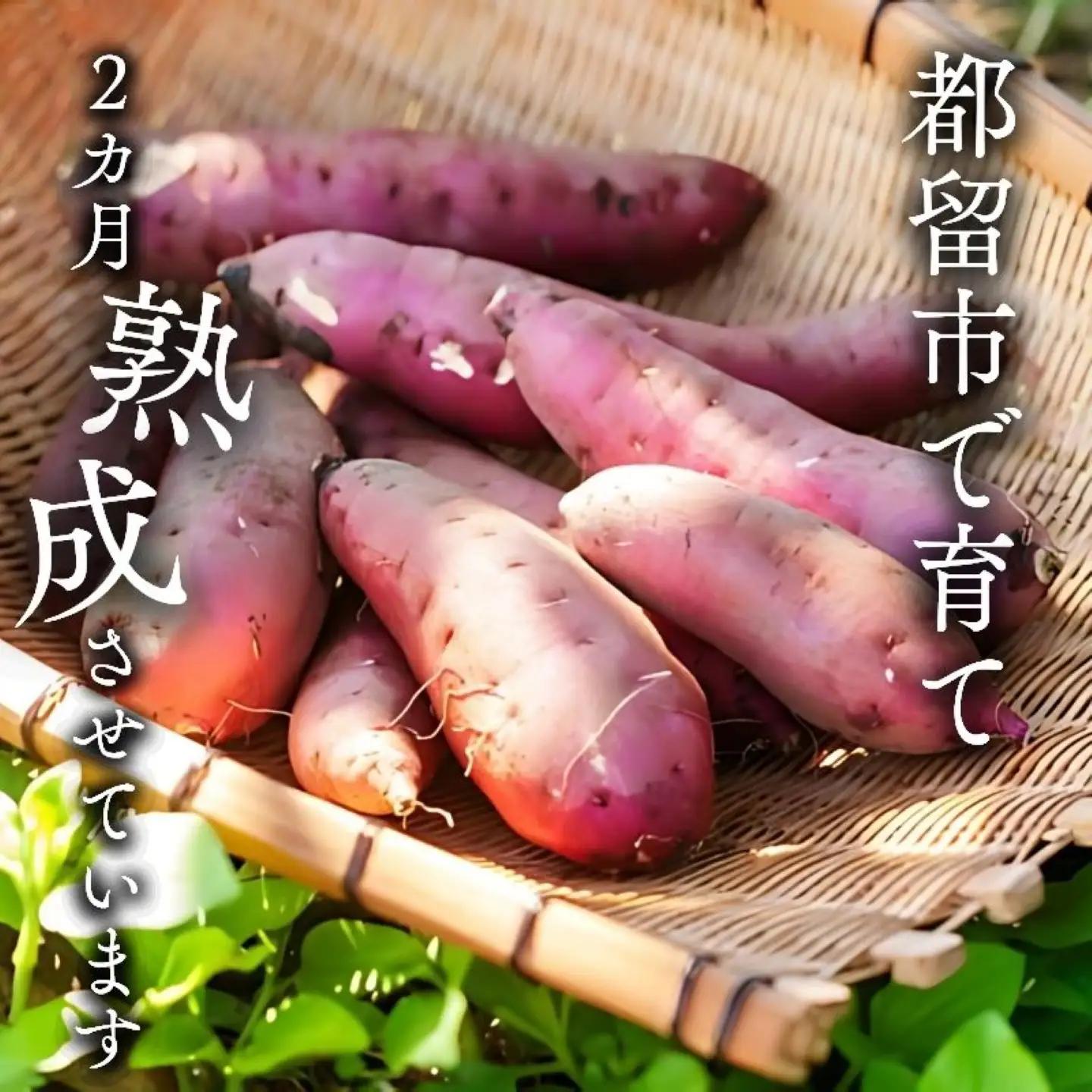 【2026年度先行予約】富士山の湧水で育った焼きいも　約1kg｜焼き芋