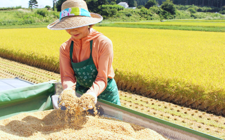 【新米・あきたこまち／令和七年度 信濃町産】2025年秋収穫のあきたこまち新米 5㎏（精米済み白米） 豪雪地帯の雪解け水と標高700ｍの寒暖差が引き出す、お米の「旨みと甘み」をぜひご賞味ください。炊き