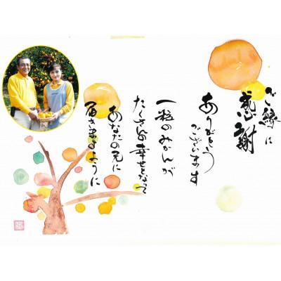 ふるさと納税 宇城市 先行予約 レモン 食べるレモンスイートレモネード 3kg |  | 03