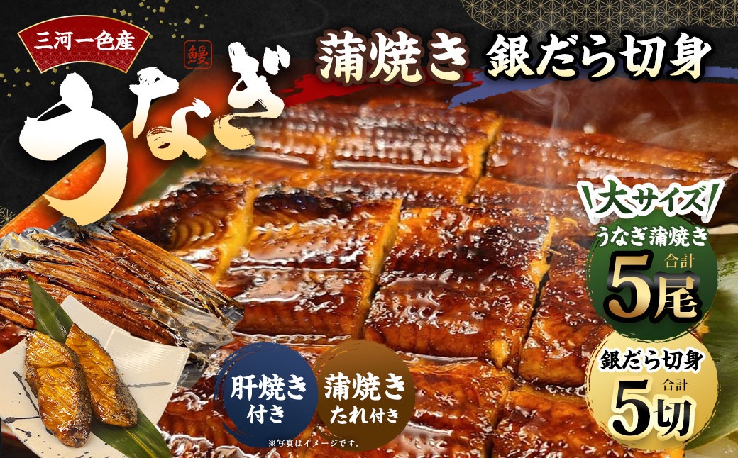 三河一色産 うなぎ蒲焼き大5尾+銀たら照り焼き5切れ（1切れ60g以上）｜ 蒲焼きたれ 肝焼き お魚 湯煎 惣菜 セット 簡単調理 冷凍 幸田町 送料無料