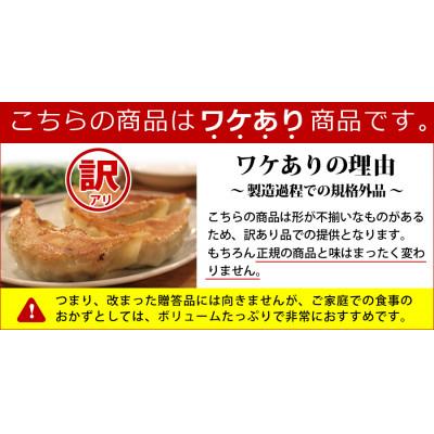 ふるさと納税 塩竈市 【訳あり品】こだわり本格生餃子100個(20人前) |  | 01