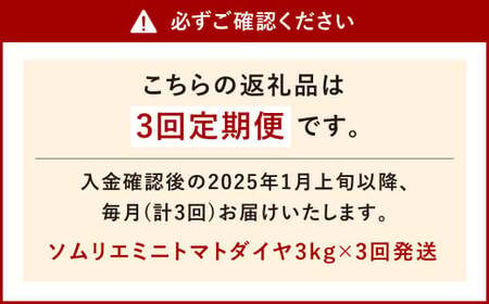 【年3回定期便／2025年1月発送開始】 ソムリエ ミニ トマト ダイヤ 3kg×3回 合計9kg とまと トマト 野菜 やさい 熊本県産 国産 