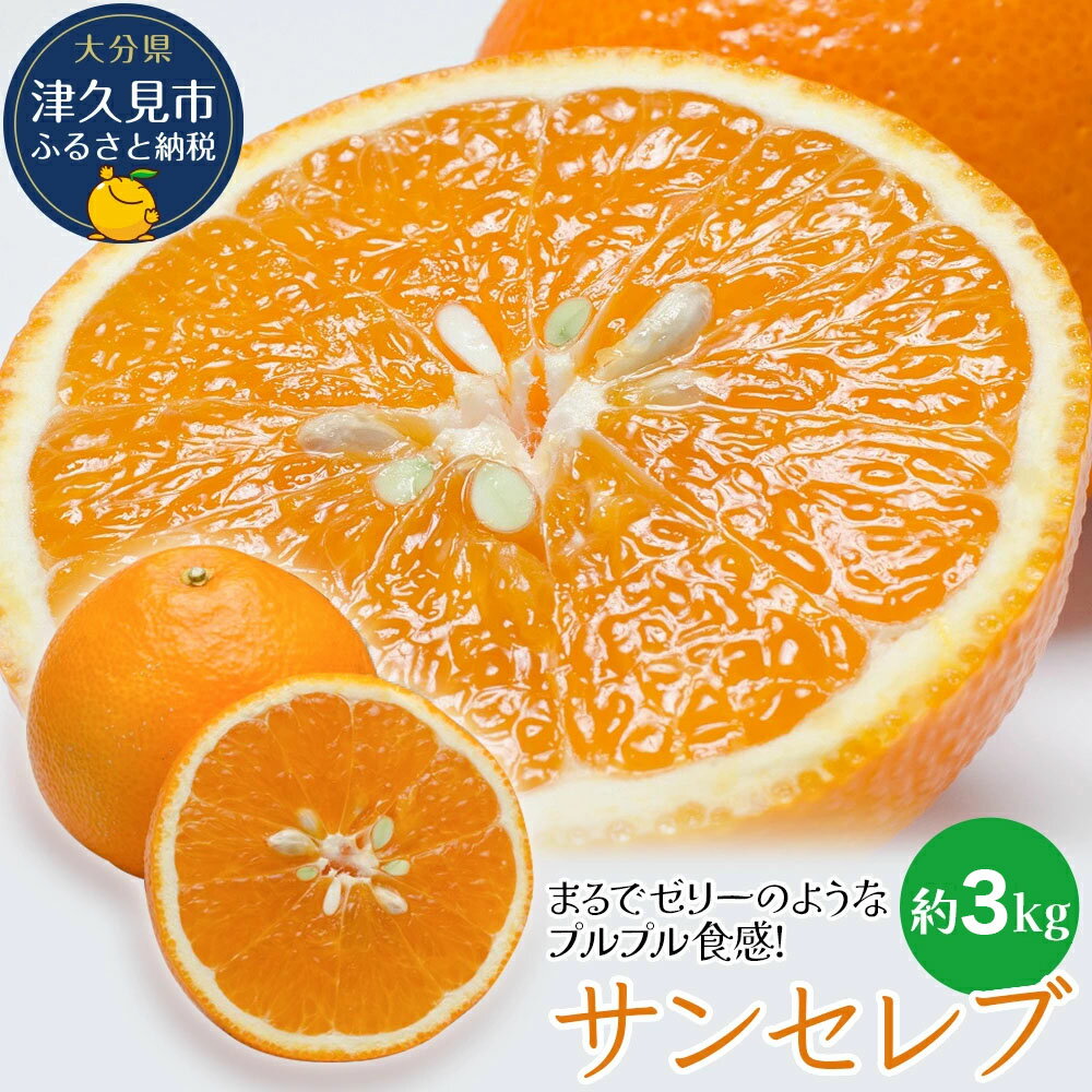 【ふるさと納税】まるでゼリーのようなプルプル食感!サンセレブ約3kg(化粧箱) |みかん 大分県 九州 津久見市 国産 送料無料
