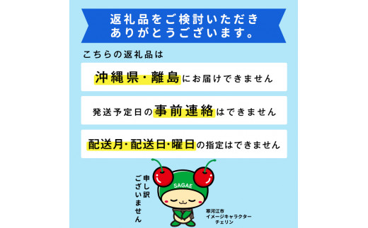 令和7年産 特秀品 さくらんぼ「 紅秀峰 」600g (300g×2パック) 2L以上 2025年産 山形県産 山形産 【2025年6月中旬頃～7月上旬頃発送予定】　032-A-AF022