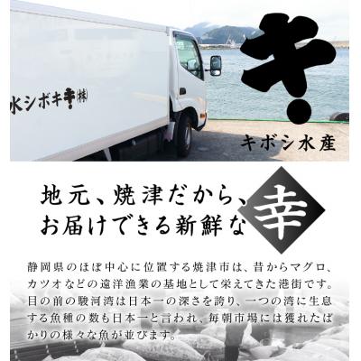 ふるさと納税 焼津市 キボシ水産 天然 南鮪 ブロック 大トロ 中トロ 赤身 約800g(a25-045) |  | 02