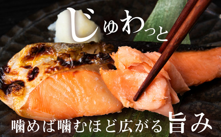北海道産 時鮭 姿切身 半身×2 鮭 さけ サケ 切身 カマ トキシラズ おかず 焼き魚 AQ093