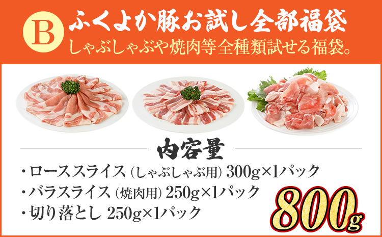豚肉 しゃぶしゃぶ 焼肉 切り落とし【B】ふくよか豚 お試し全部セット ロース バラ 小分け ブタ肉 ぶた肉 冷凍 福岡県 福岡 九州 グルメ お取り寄せ