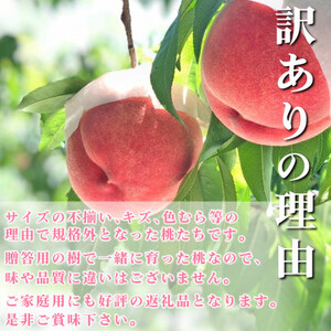 【先行受付 2024年発送】山梨県産 桃 訳あり品 2kg以上(4～8玉) ふるさと納税【配送不可地域：離島】【1137263】