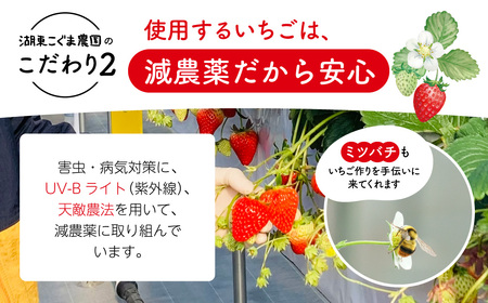 いちご農家の贅沢いちごづくしアイスキャンデー8本セット（いちご・いちごミルク）  A-B28  湖東こぐま農園