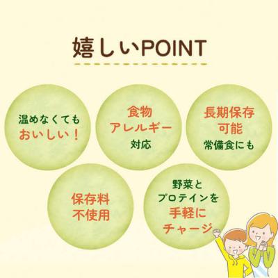 ふるさと納税 出雲市 【からだを想う野菜スープ】ひよこ豆カレー30食セット/レトルト/食物アレルギー対応/長期保存/防災食 |  | 02