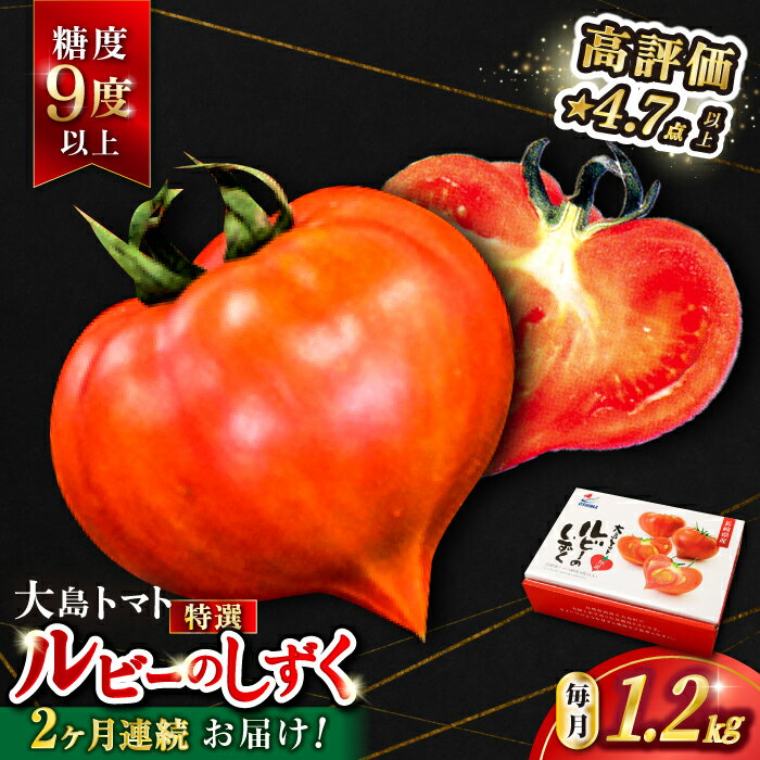 【ふるさと納税】【2026年3月より発送開始】【2回定期便】糖度9度以上！ 大島トマト 特選「 ルビーのしずく 」約1.2kg＜大島造船所農産G＞ [CCK030] 長崎 西海 とまと トマト フルーツトマト 野菜 人気 贈答 ギフト プレゼント 高糖度 定期便