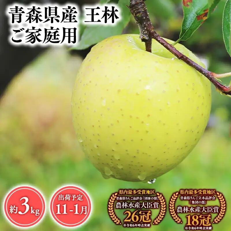 りんご 家庭用 王林3kg 【hi-0053-047】