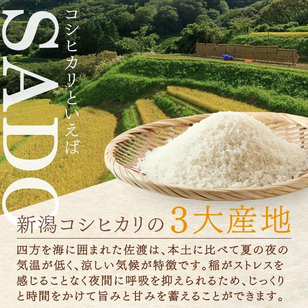 【先行予約】無洗米 20kg 5キロ×4袋 コシヒカリ 令和8年 | 新潟県 佐渡市 コシヒカリ