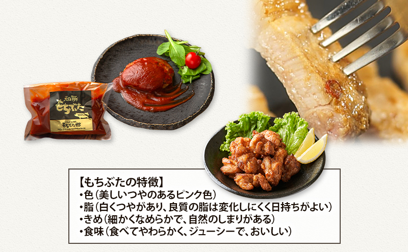 【3ヵ月定期便】全3回 和豚 もちぶた 3種 食べ比べのセット  ハンバーグ 140g 唐揚げ 250g 味噌漬け ロース 肩ロース モモ 120g セット 和豚 豚肉 ポーク 肉 豚 豚ロース もも