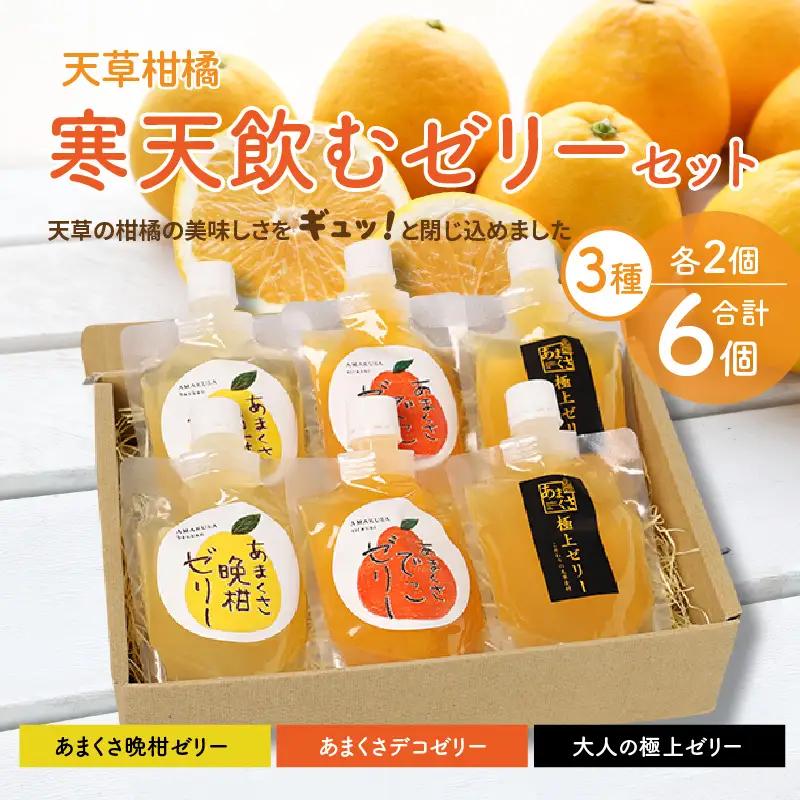 S024-004A_天草柑橘　寒天飲むゼリーセット