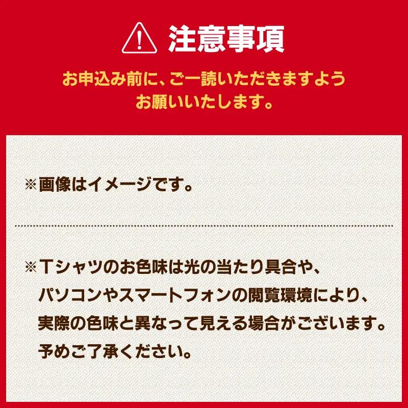 第41回三浦国際市民マラソン大会記念グッズ「オリジナルTシャツ」（XLサイズ） M037-017-04 三浦国際市民マラソン 三浦市民マラソン Tシャツ