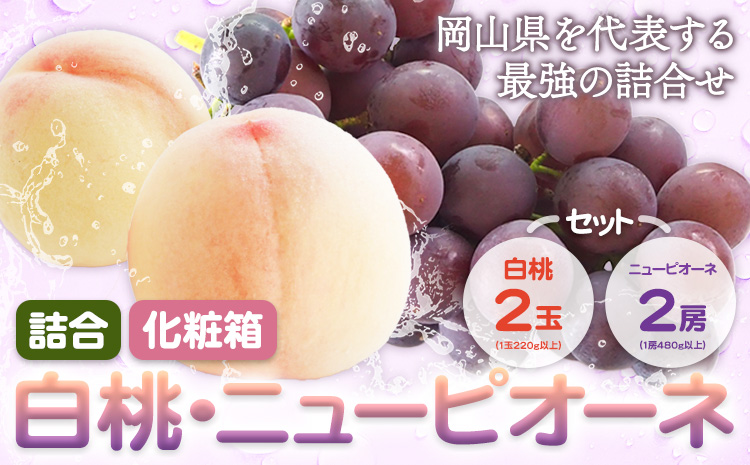 【2026年先行予約】詰合 白桃 1玉220g以上 2玉・ニューピオーネ 1房480g以上 2房 化粧箱入り 株式会社山博(中本青果)《2026年7月下旬-8月中旬頃出荷》岡山県 浅口市 ぶどう フルーツ ギフト 贈答用 旬 果物 国産 岡山県産 送料無料 【配送不可地域あり】（北海道・沖縄・離島）