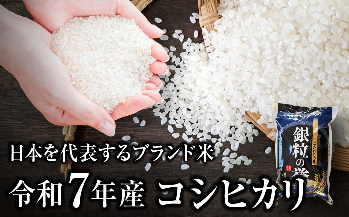 【全2回定期便】こしひかり 10kg  【令和7年産米】 米 白米 お米 ご飯 コシヒカリ 三次市/アグリ君田 [APDC006]