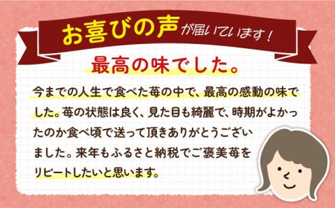 いちご イチゴ 苺 ゆめのか・恋みのり 計 1kg「ゆめ恋セット」《壱岐市》【蒼花】 [JEO001] 13000 13000円